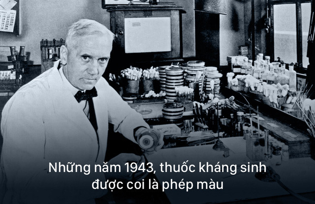 The golden age of antibiotics is over, the immediate future will be a nightmare for humans Picture 2