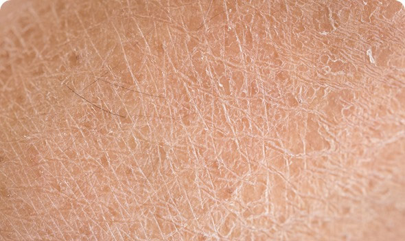 The health benefits of monitoring temperature and humidity regularly Picture 4