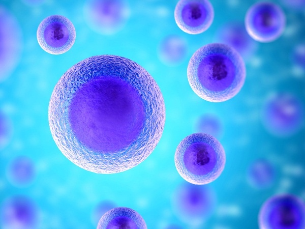 The human body and huge numbers startle you Picture 9