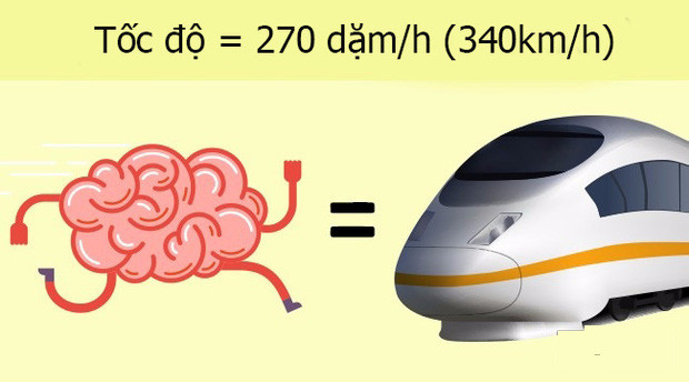 The human body is stronger than the supercomputer? Picture 3