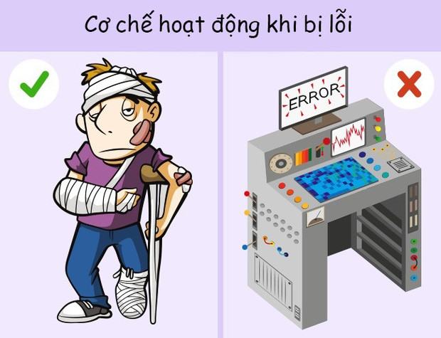 The human body is stronger than the supercomputer? Picture 6