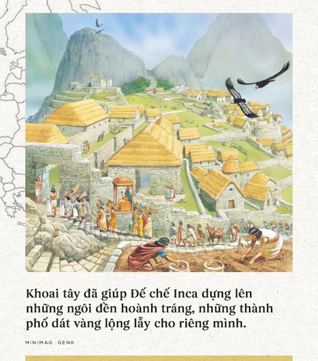 The interesting history of potatoes: 'Devil's apple' brings prosperity to the empires Picture 4