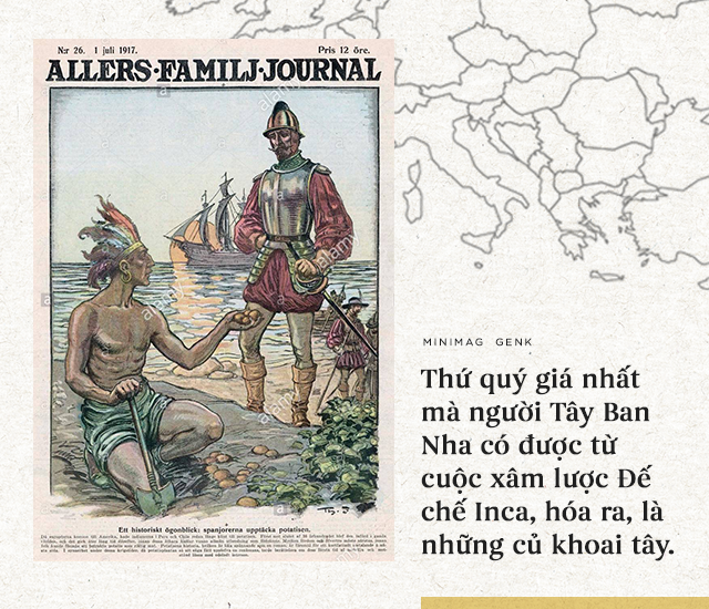 The interesting history of potatoes: 'Devil's apple' brings prosperity to the empires Picture 6