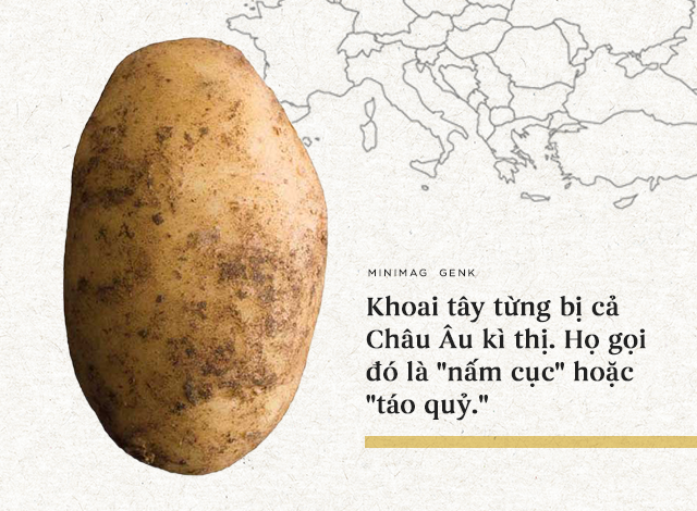 The interesting history of potatoes: 'Devil's apple' brings prosperity to the empires Picture 7