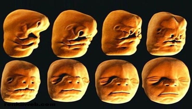 The interesting scientific knowledge that we missed while at school Picture 6