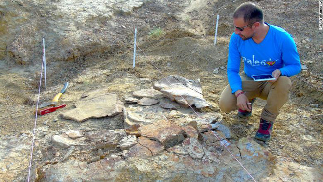 The largest freshwater turtle ever existed with a length of up to 3 meters, a shell weighing over 1 ton Picture 2