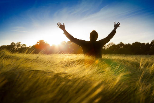 The lesson changes the concept of living and having the happiness from Zen Master Thich Nhat Hanh Picture 7