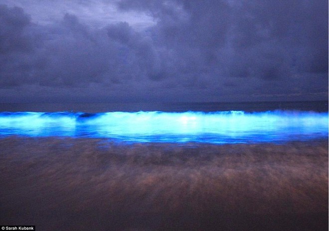 The miraculous sea water kept touching, emitting blue light Picture 2