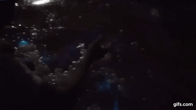 The miraculous sea water kept touching, emitting blue light Picture 3