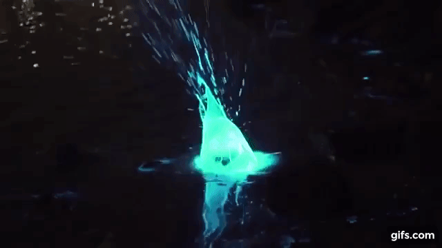 The miraculous sea water kept touching, emitting blue light Picture 5