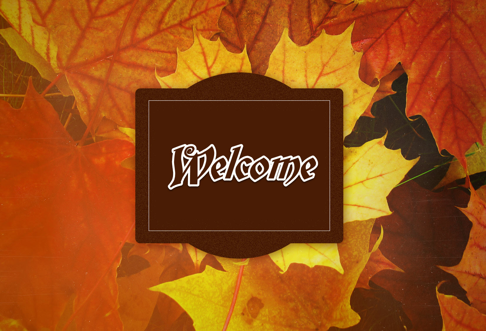 The most beautiful and impressive opening Powerpoint wallpapers Picture 24