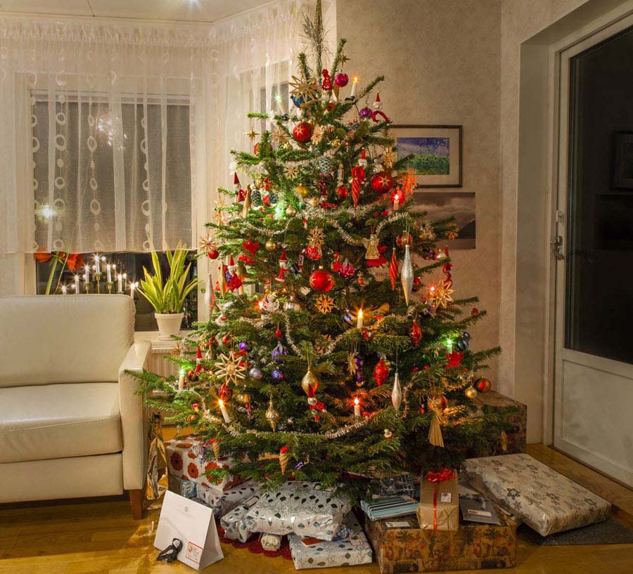 The most beautiful Christmas tree images Picture 17