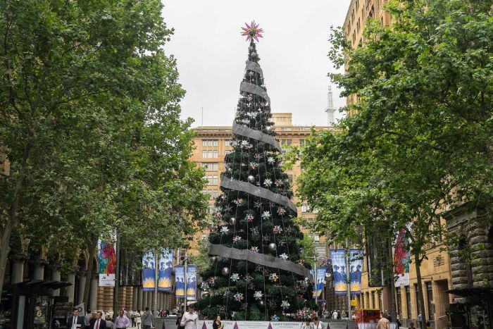 The most beautiful Christmas tree images Picture 23