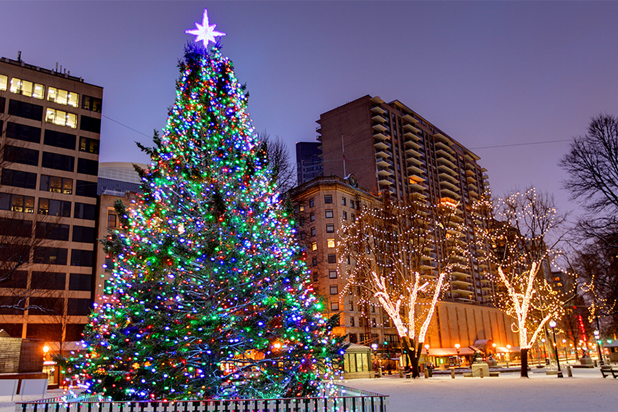 The most beautiful Christmas tree images Picture 26