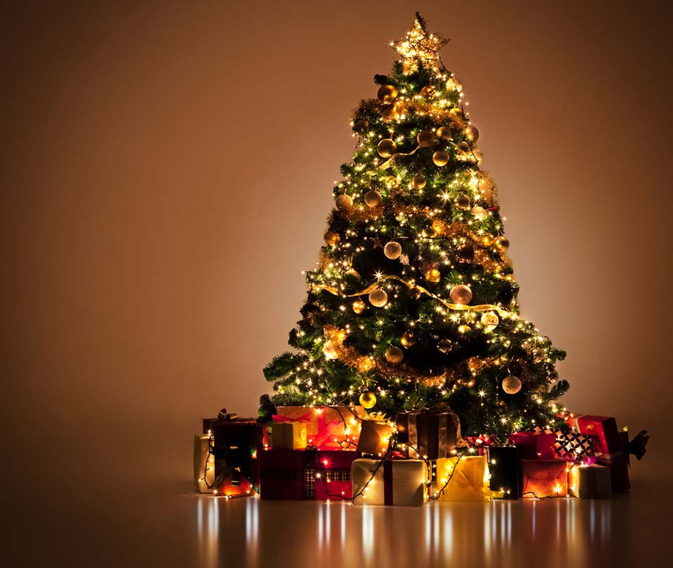 The most beautiful Christmas tree images Picture 35