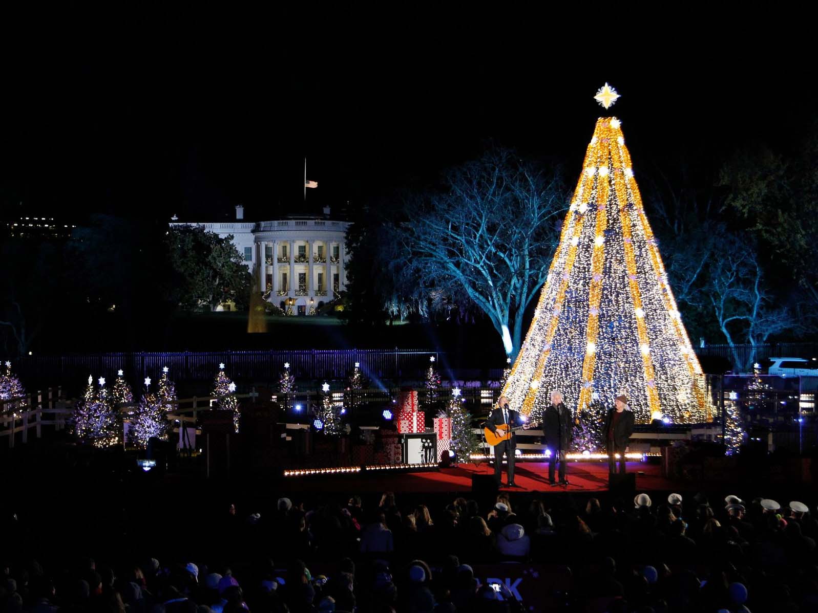 The most beautiful Christmas tree images Picture 36