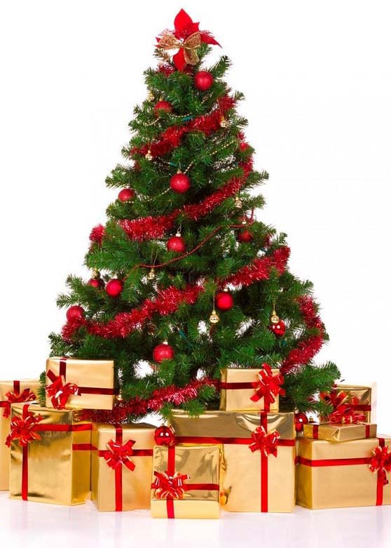The most beautiful Christmas tree images Picture 39