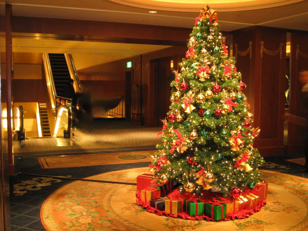 The most beautiful Christmas tree images Picture 46