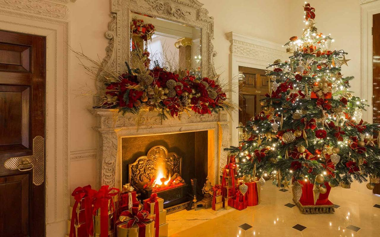 The most beautiful Christmas tree images Picture 48