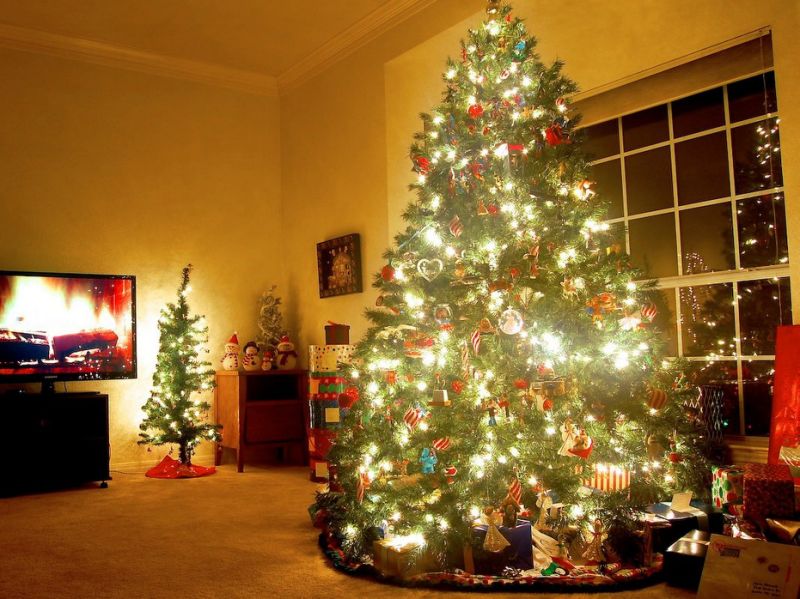 The most beautiful Christmas tree images Picture 7