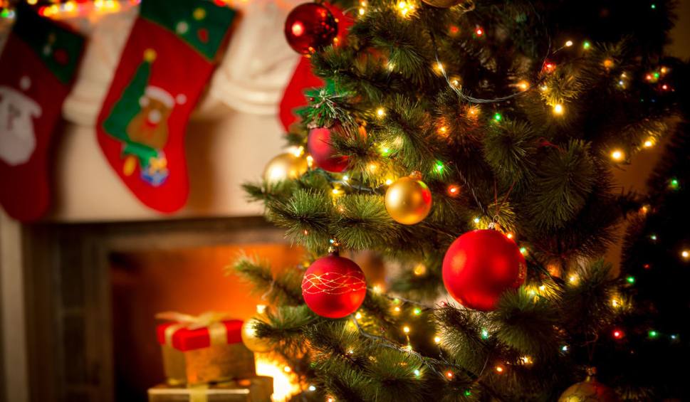 The most beautiful Christmas tree images Picture 8