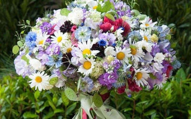 The most beautiful flowers are expected to be received on March 8 Picture 7