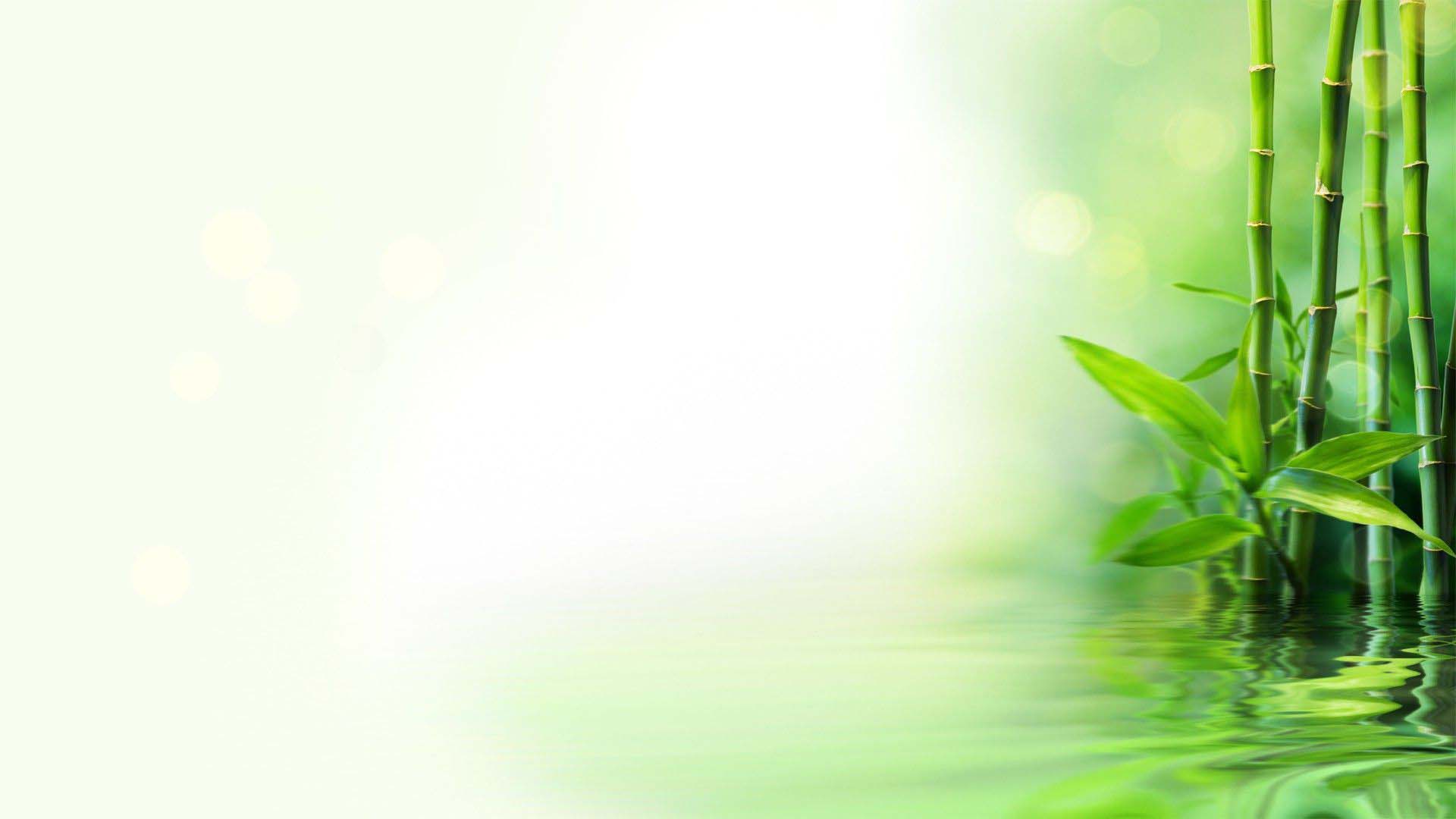 The most beautiful green Powerpoint wallpapers Picture 13