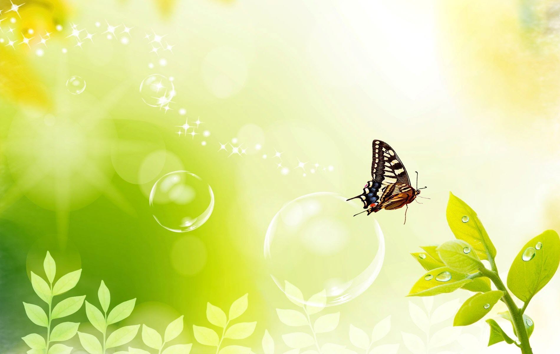 The most beautiful green Powerpoint wallpapers Picture 31