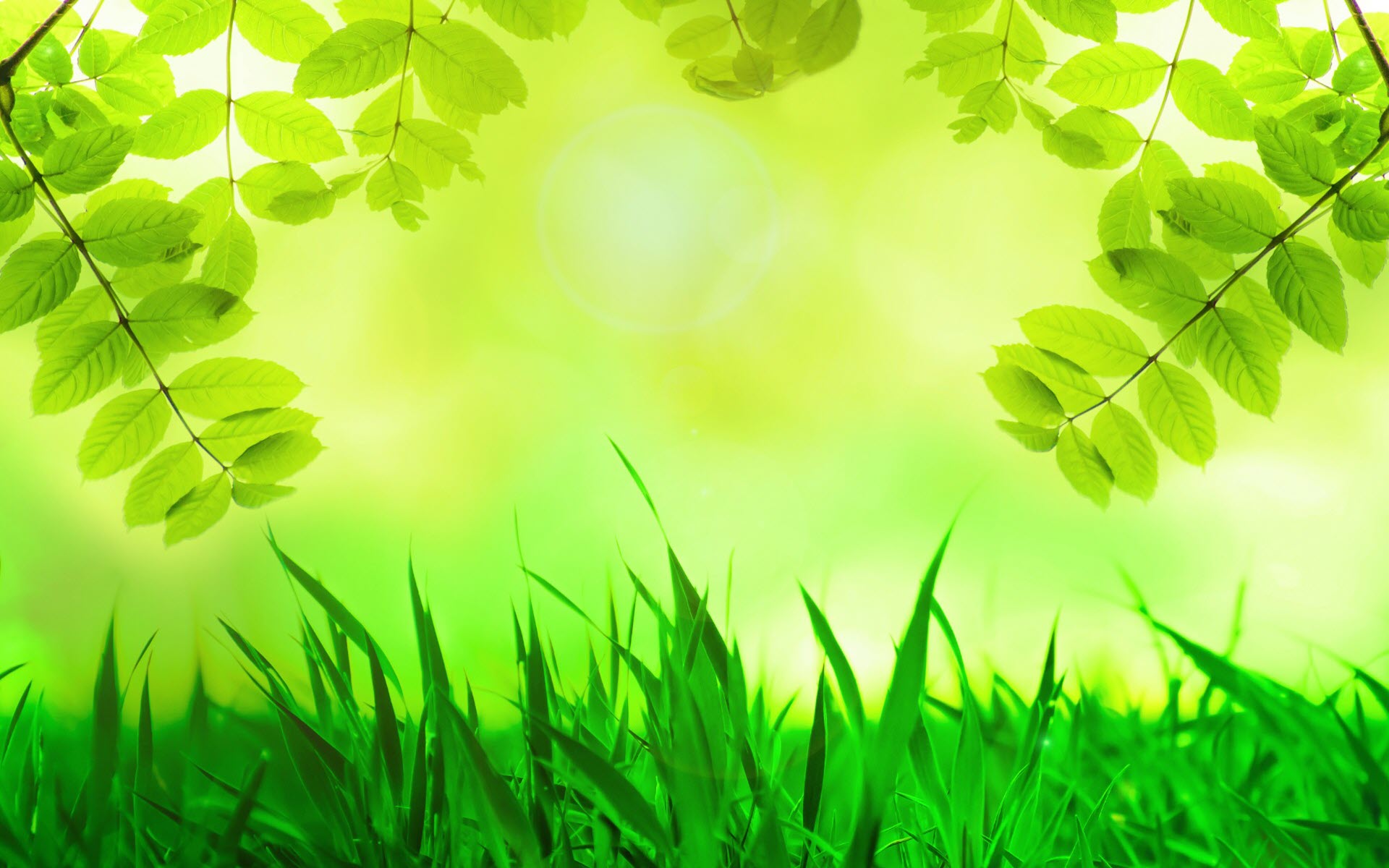 The most beautiful green Powerpoint wallpapers Picture 9
