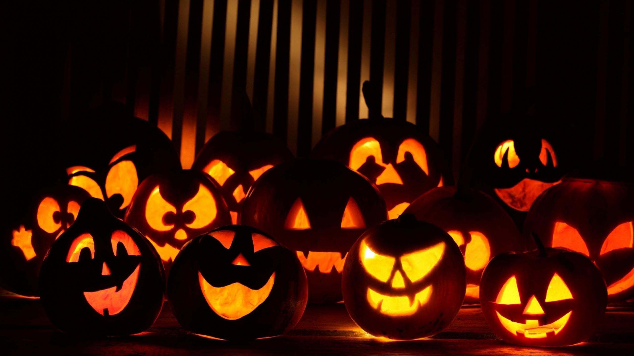 The most beautiful Halloween pumpkins Picture 11