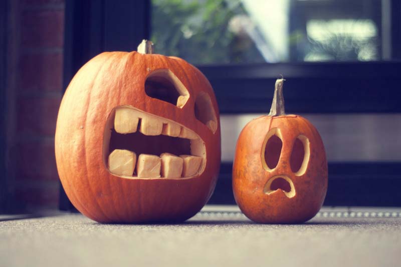 The most beautiful Halloween pumpkins Picture 20