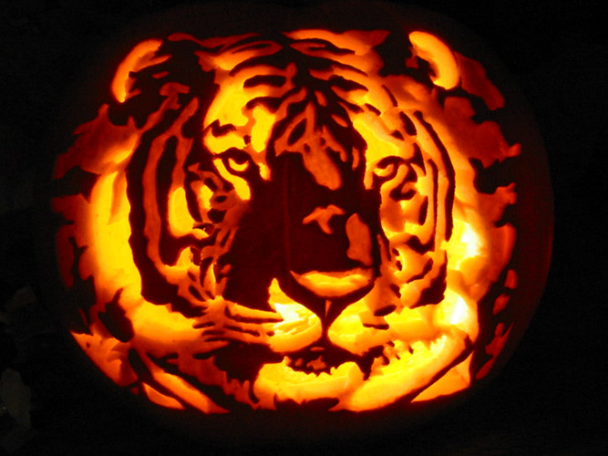 The most beautiful Halloween pumpkins Picture 26