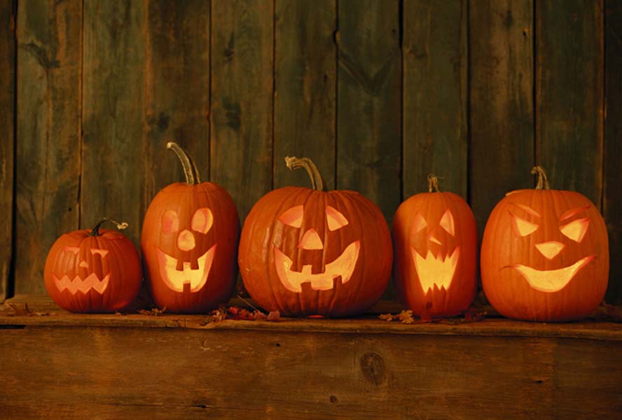 The most beautiful Halloween pumpkins Picture 29