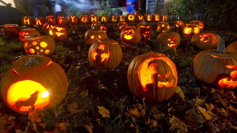 The most beautiful Halloween pumpkins Picture 34