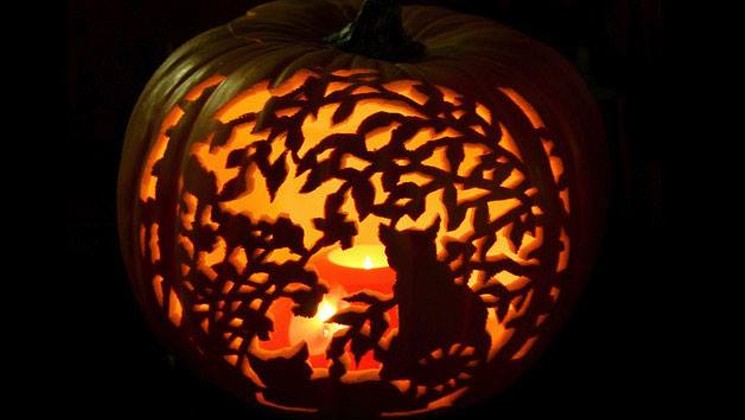 The most beautiful Halloween pumpkins Picture 8