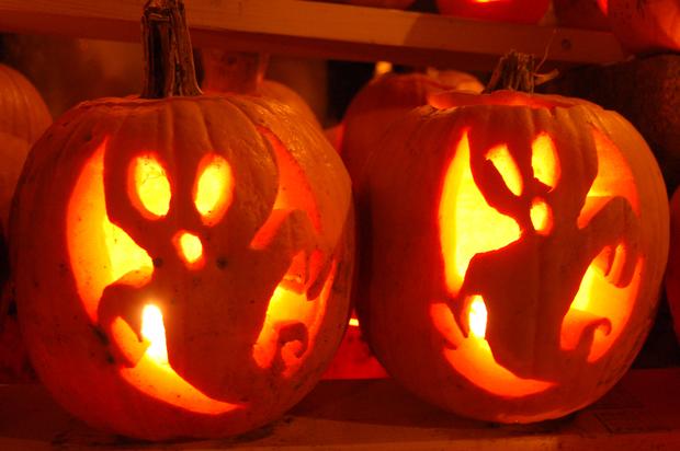 The most beautiful Halloween pumpkins Picture 9