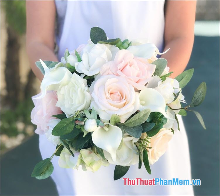 The most beautiful roses Picture 15