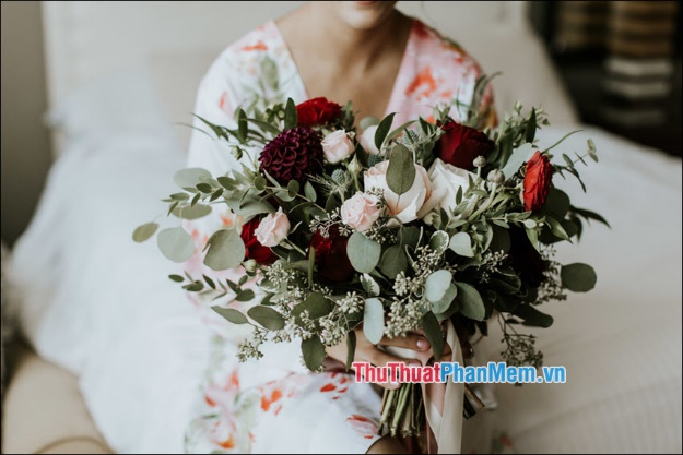 The most beautiful roses Picture 8