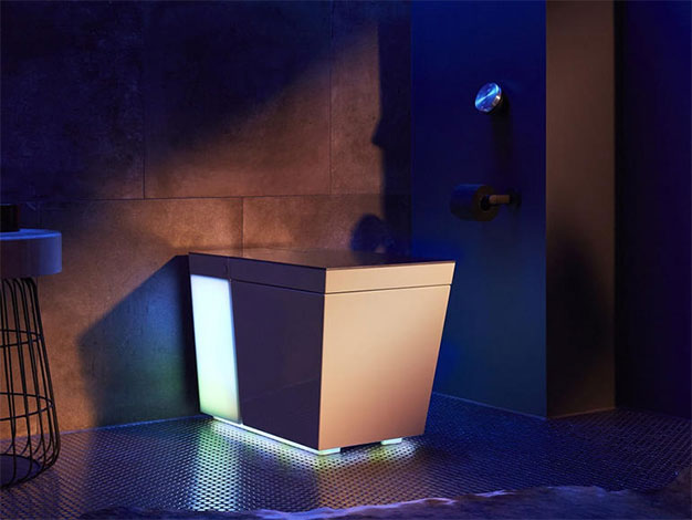 The most bizarre inventions CES 2019 Picture 7