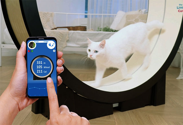 The most bizarre inventions CES 2019 Picture 9