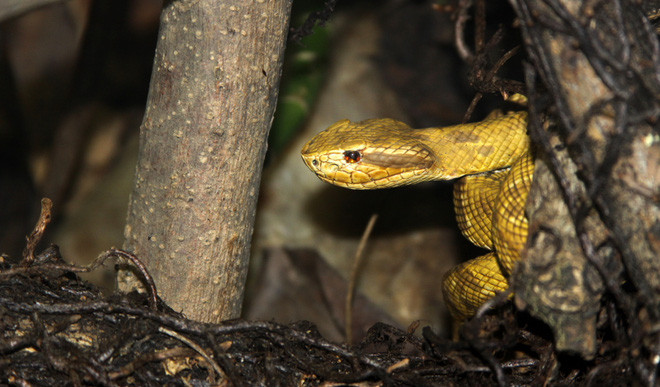 The most dangerous lands on Earth, there are places that can cause you to lose your life if you're outdoors for just a minute Picture 7