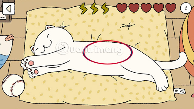 The most efficient way to raise cats in Adorable Home Picture 5