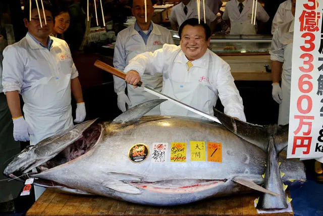 The most expensive fish in the world, the highest record is over 71 ...