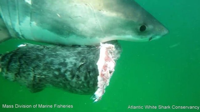 The most impressive photo of science last week Picture 6