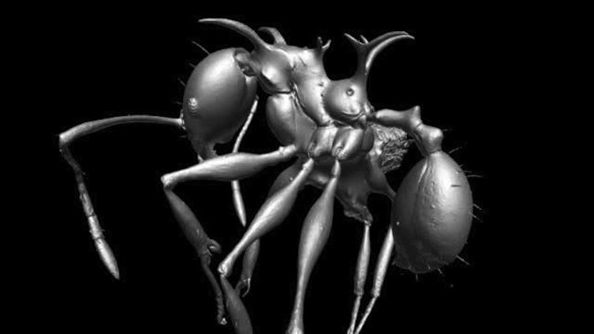 The most impressive photo of science last week Picture 7