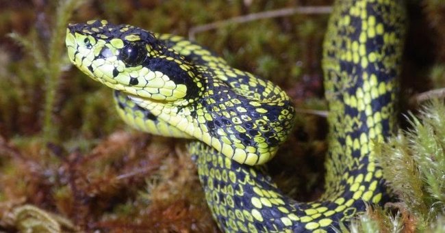 The most impressive photo of science last week Picture 8