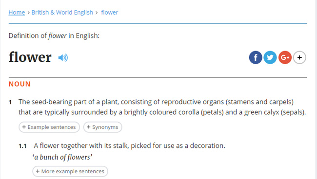 The most reliable online dictionaries Picture 4