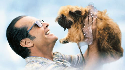 The most romantic comedy for Valentine's day Picture 1