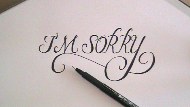 The most sincere apologies Picture 5