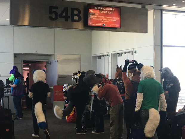 The most unique images on the plane that passengers have ever taken: Bet you have not seen more than half! Picture 10